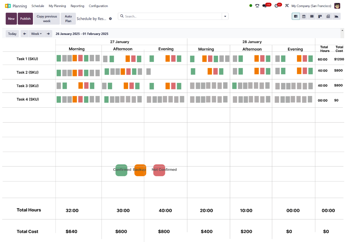 ERP Consultation